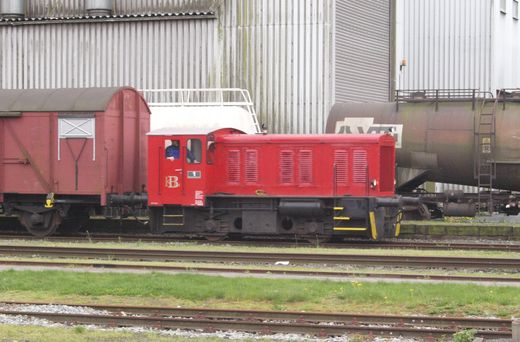 Der Pingelheini in Leeste