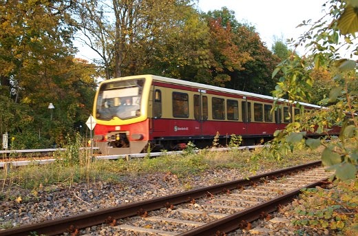 481 kurz vor Zehlendorf