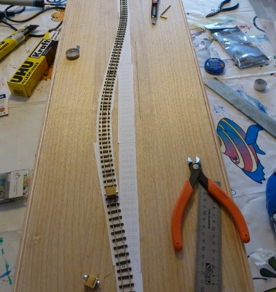 Modul mit Gleisverschwenkung