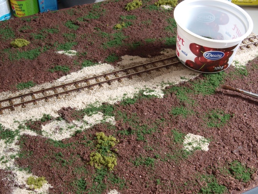 Moos und Bodendecker