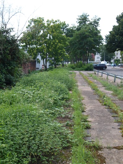 Das ehemalige Stammgleis in der Orber Straße