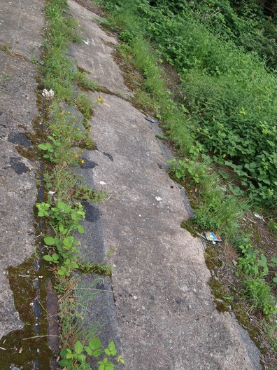 Das ehemalige Stammgleis in der Orber Straße