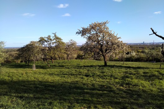 Streuobstwiese am Berger Hang