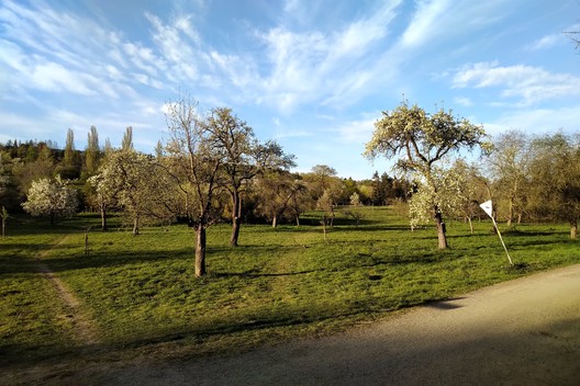 Streuobstwiese am Berger Hang