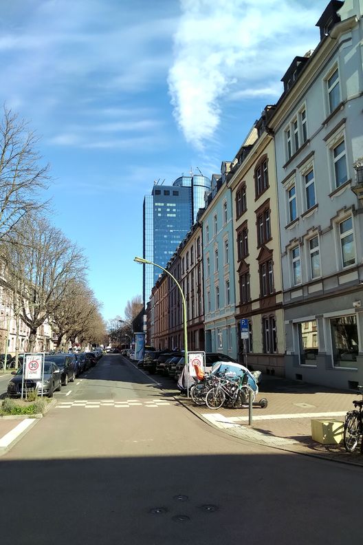 Frühling im Nordend