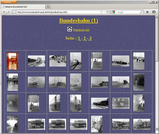Screenshot Initiative Brunsb&uuml;ttel
